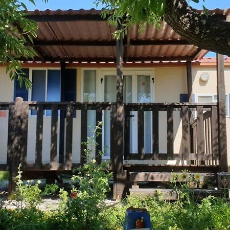 The Farm Tiny House - Tiny Casa 호텔 치클라나 데 라 프론테라 외부 사진